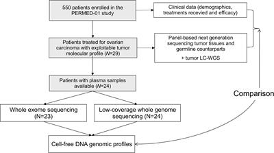 Whole-genome/exome analysis of circulating tumor DNA and comparison to tumor genomics from patients with heavily pre-treated ovarian cancer: subset analysis of the PERMED-01 trial